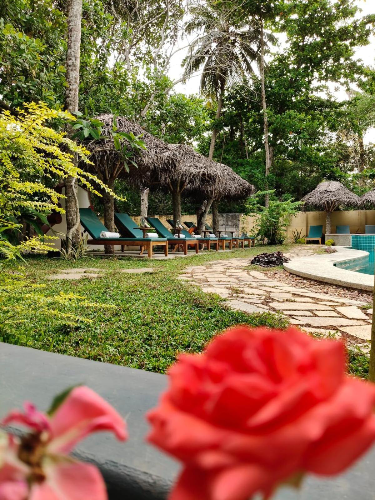 Marari Alleppey Country house
