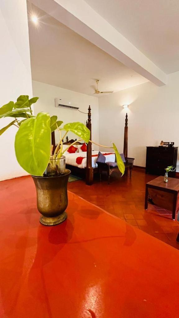 Marari Alleppey बहुत बड़ा घर *