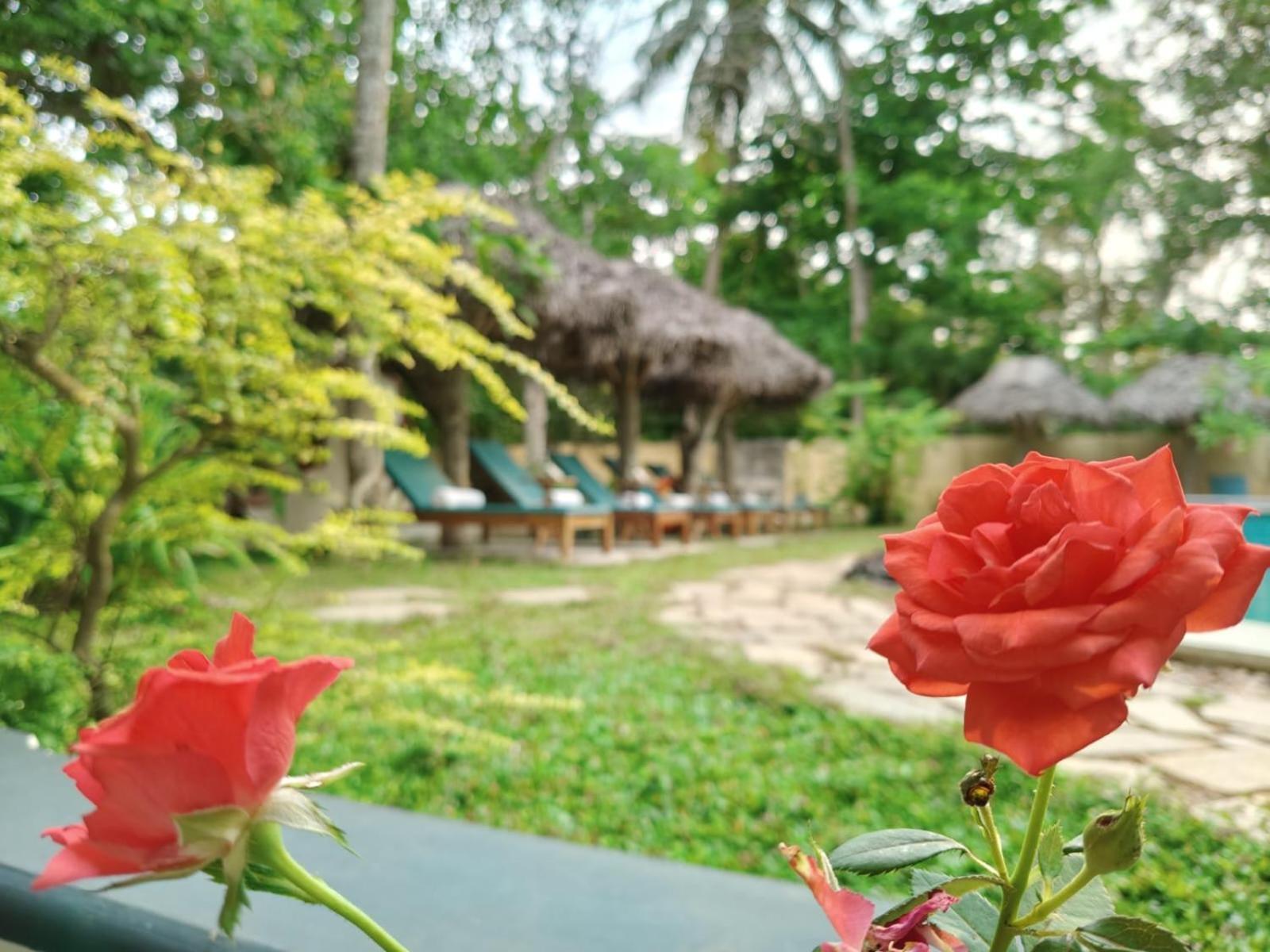 Marari Alleppey बहुत बड़ा घर *